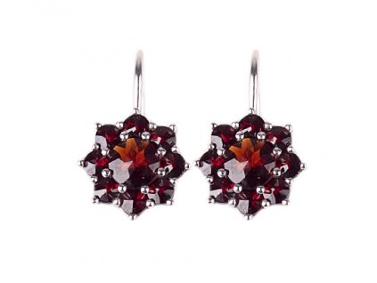 Czech garnet earrings (6370030)