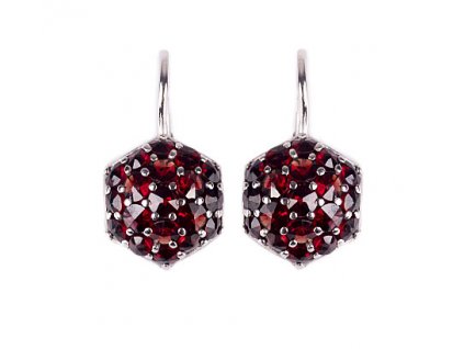 Czech garnet earrings (6370860)