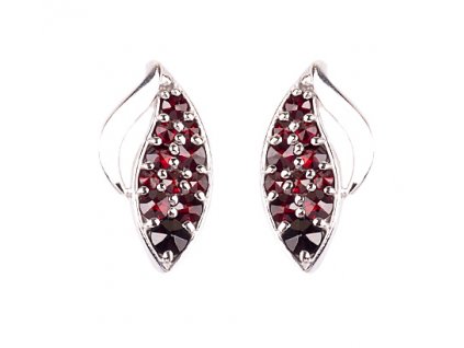 Czech garnet earrings (6371156)