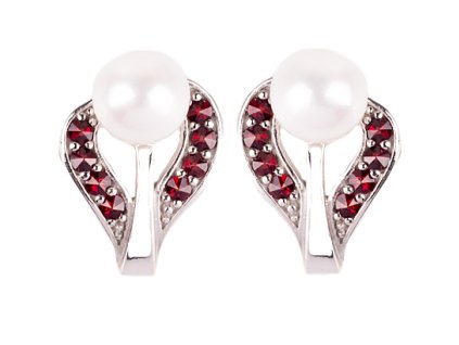 Czech garnet earrings (6371224)
