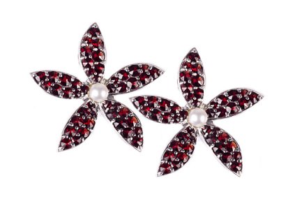 Czech garnet earrings (6371240)
