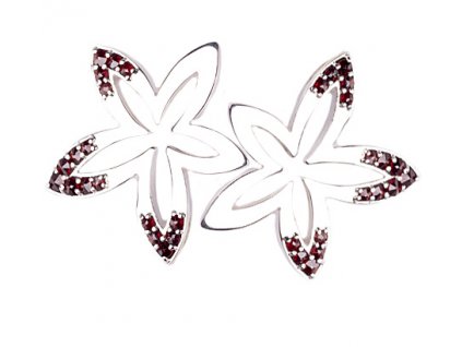 Czech garnet earrings (6371310)