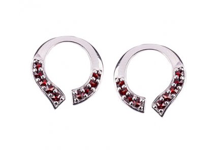 Czech garnet earrings (6371353)