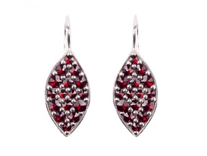 Czech garnet earrings (6371462)