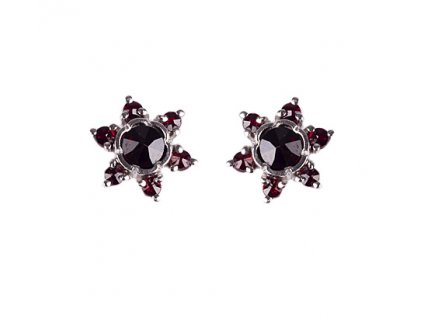 Czech garnet earrings (6371364)