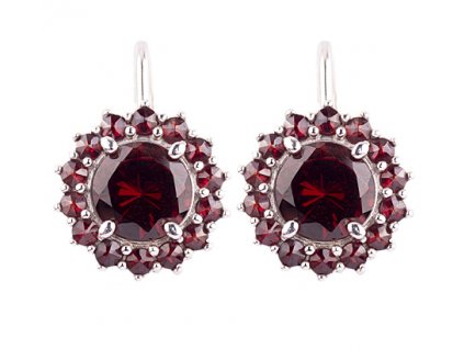 Czech garnet earrings (6371435)