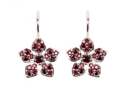 Czech garnet earrings (6371442)