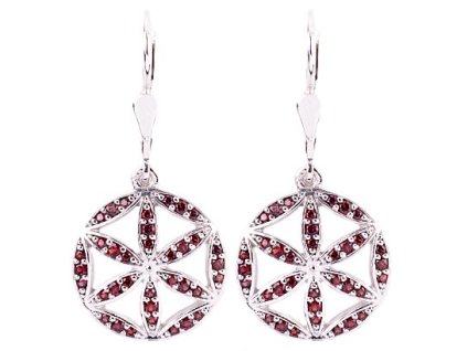 Czech garnet earrings (6371443)