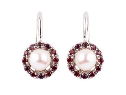 Czech garnet earrings (6371416)