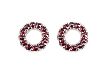 Czech garnet earrings (6371417)