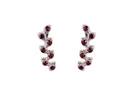 Czech garnet earrings (6371428)