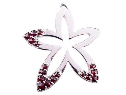 Czech garnet pendant (6471348)