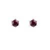 garnet - silver earrings (2233-3)