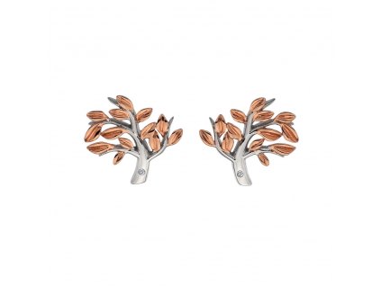Stříbrné náušnice Hot Diamonds Jasmine RG DE566