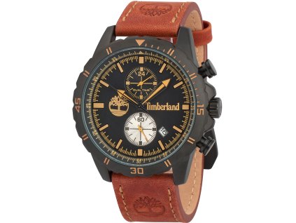 Pánské hodinky Timberland TBL16003JYB.02 Dunford