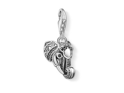 Přívěsek Thomas Sabo 1423-643-11