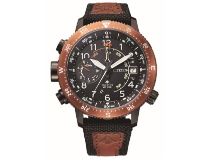 Pánské hodinky Citizen BN4049-11E Eco Drive Altichron