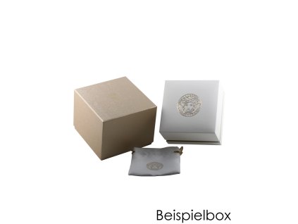 Dámské hodinky Versace VE8101219 V Circle