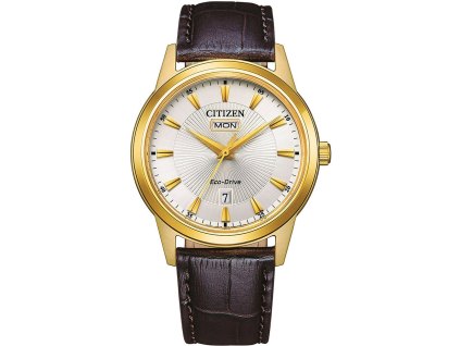 Pánské hodinky Citizen AW0102-13A Eco-Drive