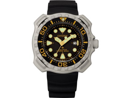 bn0220 16e