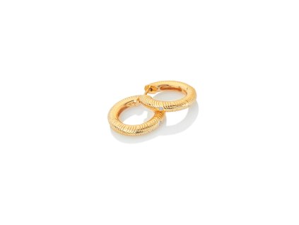 Stříbrné pozlacené náušnice Hot Diamonds x Jac Jossa Hope DE678