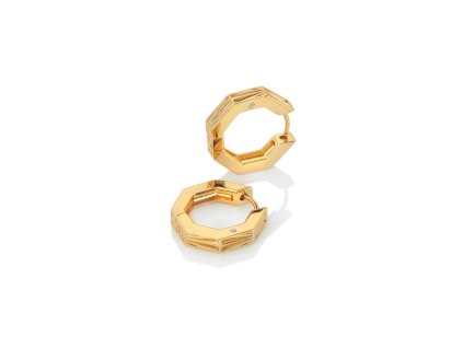 Stříbrné pozlacené náušnice Hot Diamonds x Jac Jossa Hope DE679