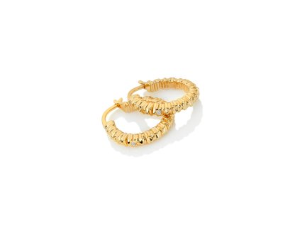 Stříbrné pozlacené náušnice Hot Diamonds x Jac Jossa Hope DE685