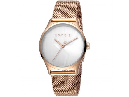 Dámské hodinky Esprit  ES1L034M0235