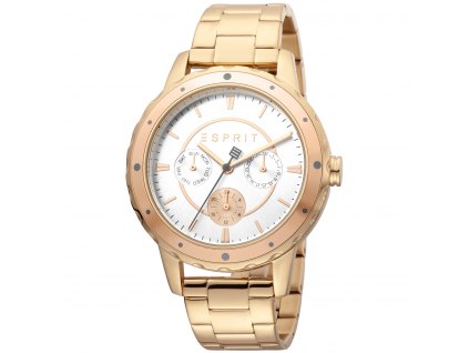 Dámské hodinky Esprit  ES1L140M0115