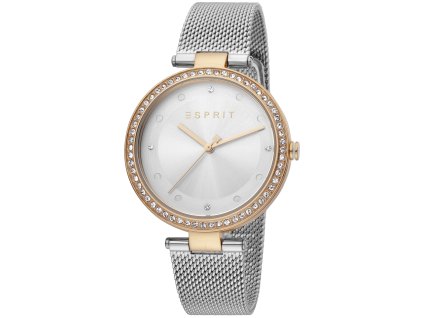 Dámské hodinky Esprit  ES1L151M0125