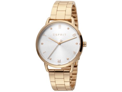 Dámské hodinky Esprit  ES1L173M0085