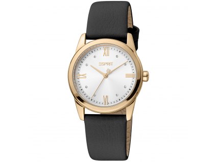 Dámské hodinky Esprit  ES1L217L1045