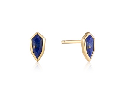 ANIA HAIE Ear Studs Second Nature E042-01G-L