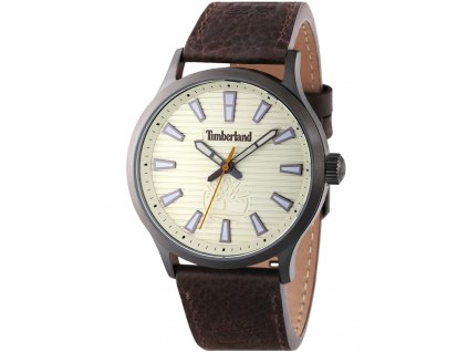 Pánské hodinky Timberland TDWGA2152004 Trumbull