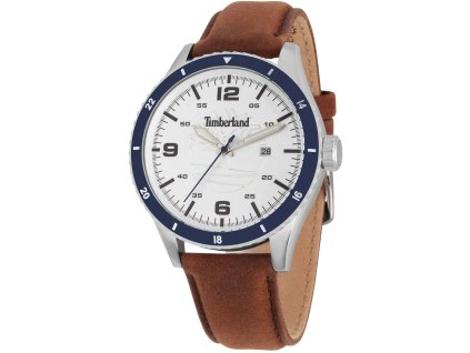 Pánské hodinky Timberland TDWGB0010501 Ashmont