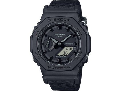 ga 2100bce 1aer or01 web