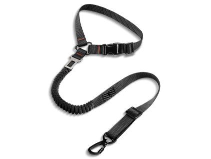 ACP08926