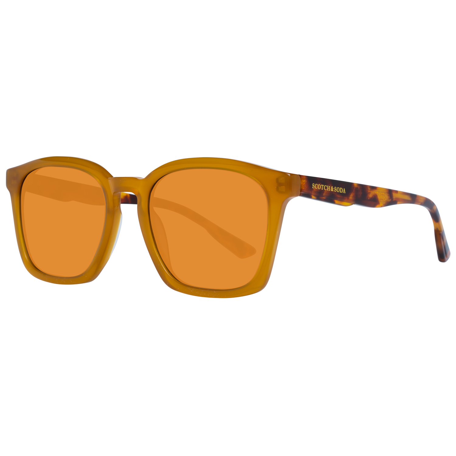 Pánské sluneční brýle Scotch & Soda SS8006 176 52