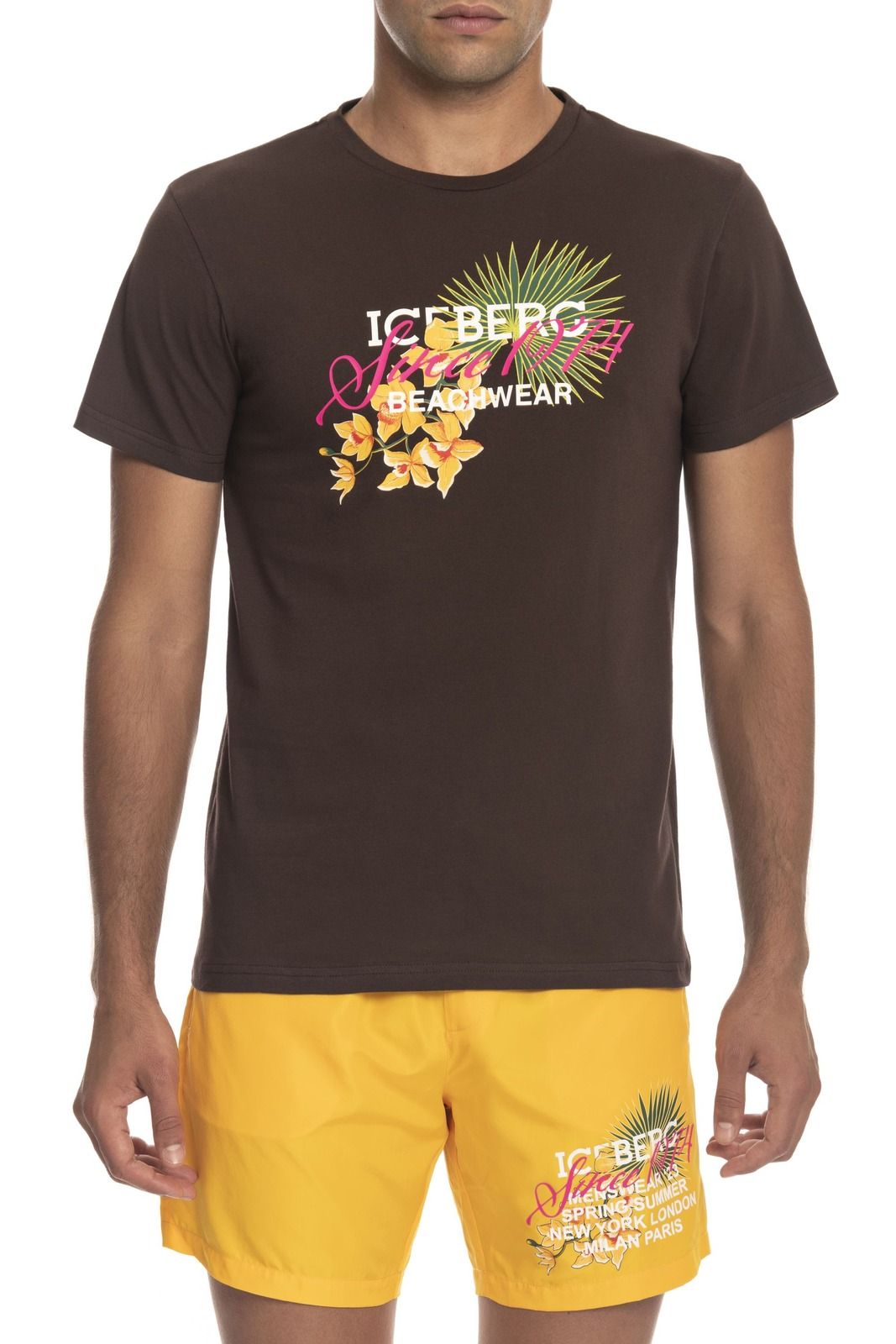 Pánské triko Iceberg Beachwear ICE3MTS02 Barva: hnědá, Velikost: S