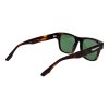 Trussardi  TSM9005 G21 52