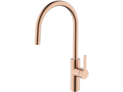 DV005 ppic Caressi Kuechenarmatur CA1105CO 0