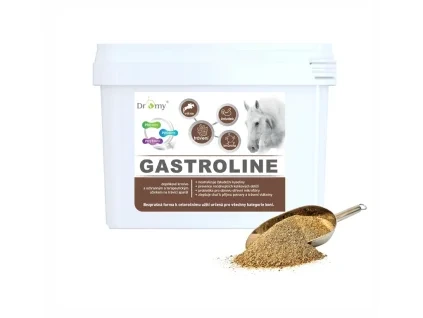 315 1 gastrolinen1
