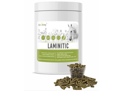 laminitic