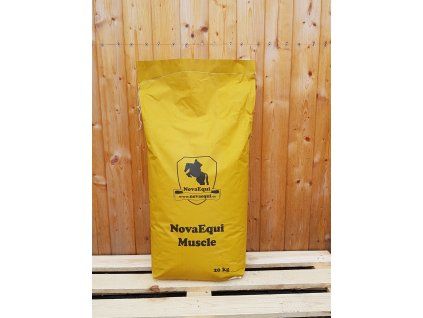 Muscle[2]