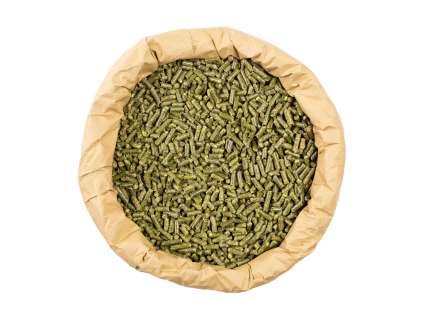 vojteska
