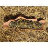 Herba[4]