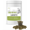 laminitic