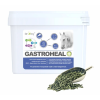gastroheal