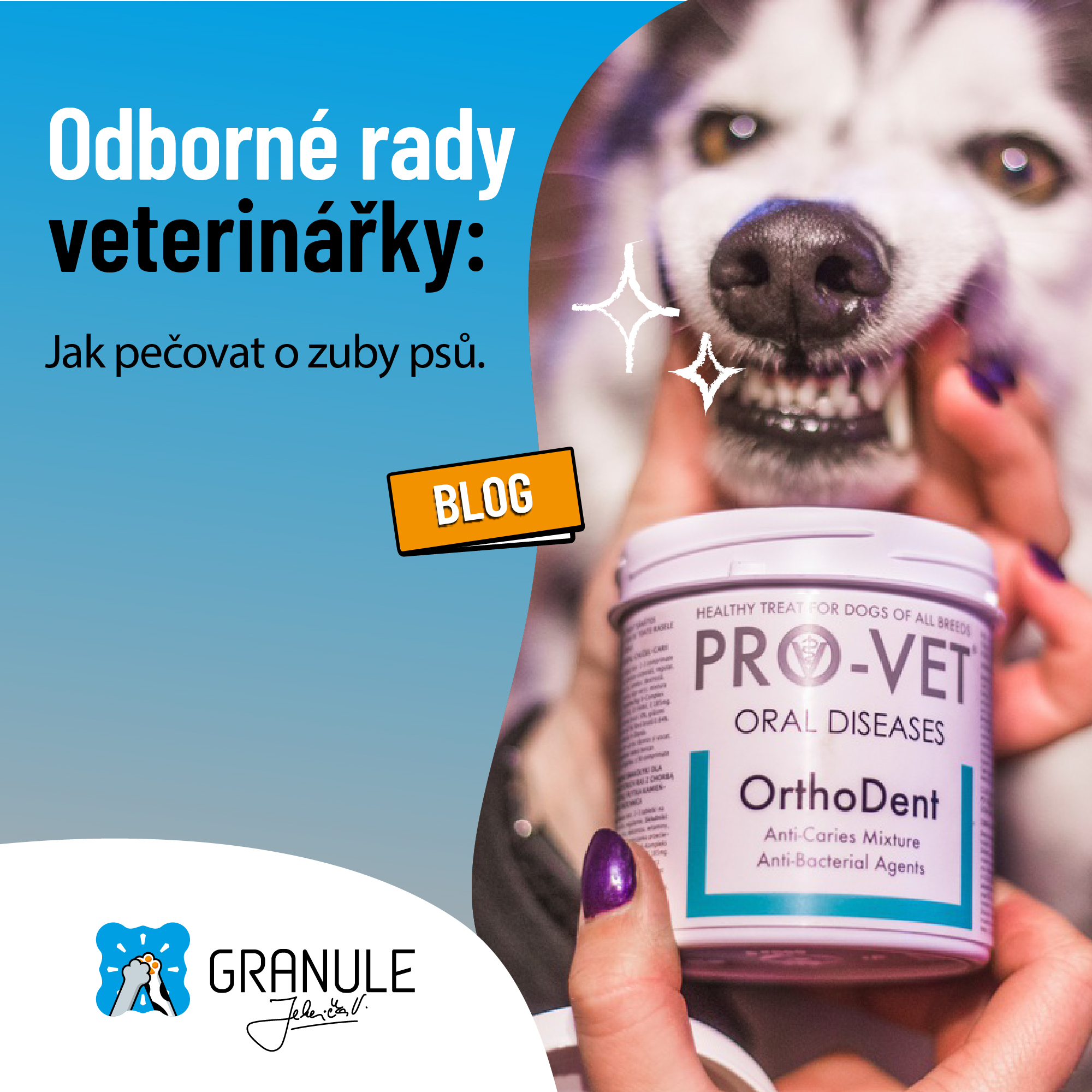 Odborné rady veterinářky: Jak pečovat o zuby psů