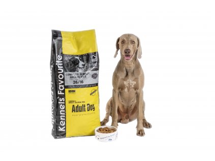 Kennels' Favourite Adult dog  granule pro psy s lososovým olejem